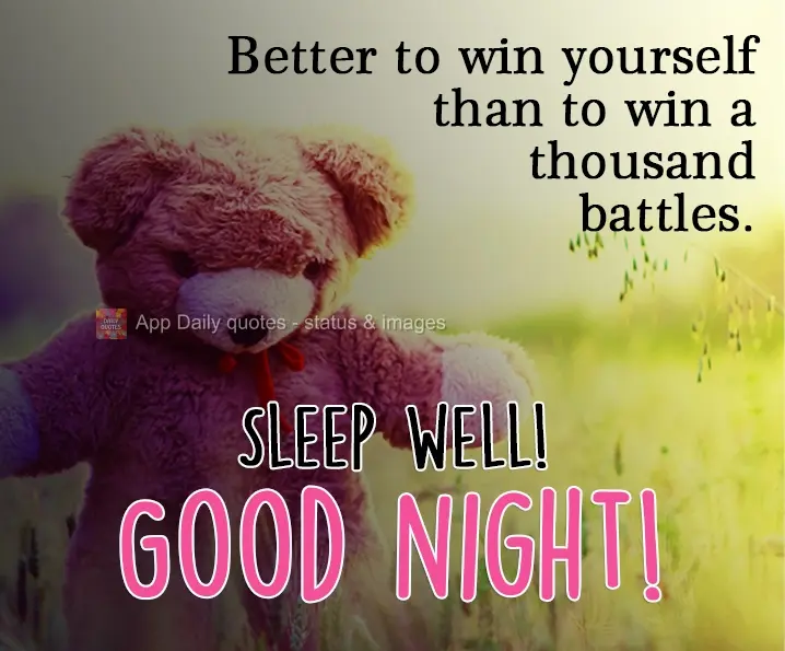 É melhor conquistar a si mesmo do que vencer mil batalhas. Durma bem! Boa Noite!