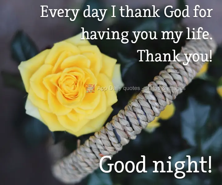 Every day that passes, I thank God for having you in my life. Thank you! Good Night!