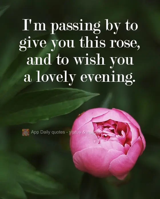 Passando para te dar essa rosa e  desejar uma agradável  noite.