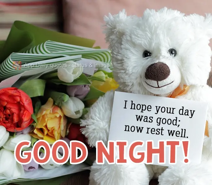 I hope your day has been good; now rest well. Good Night!