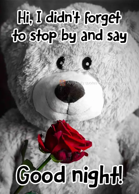 Hi, I didn't forget to stop by and wish you a Good Night!