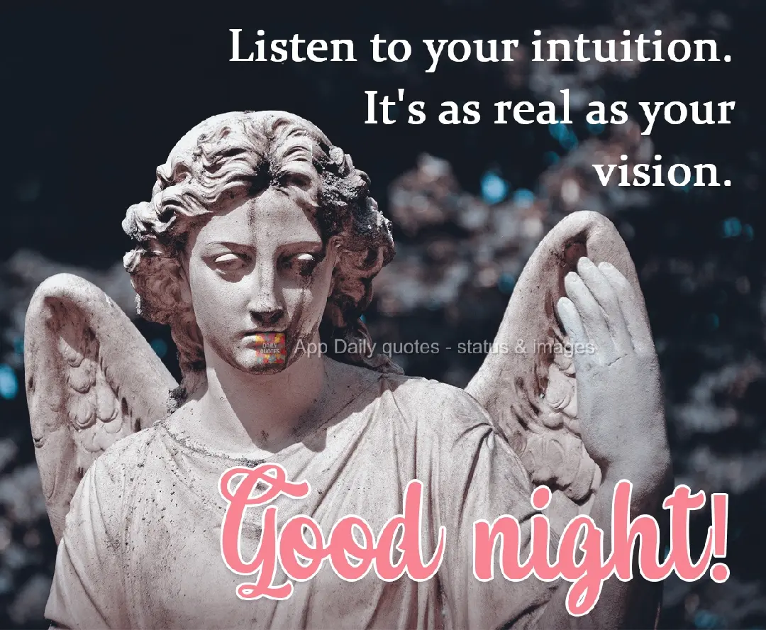Escute a sua intuição. Ela é tão real quanto a sua visão. Boa Noite!