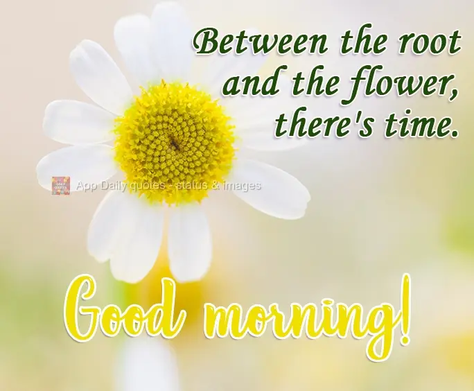 Between the root and the flower, there is time. Good morning!