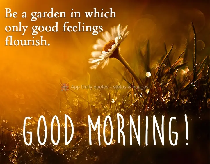 Seja um jardim no qual apenas bons sentimentos florescem. Bom dia!