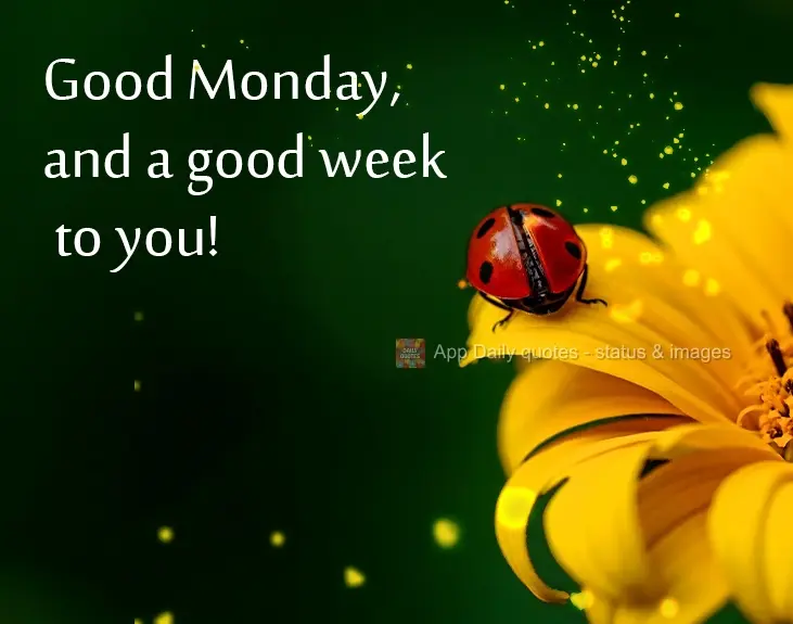 Boa Segunda-feira, e uma boa semana para você!