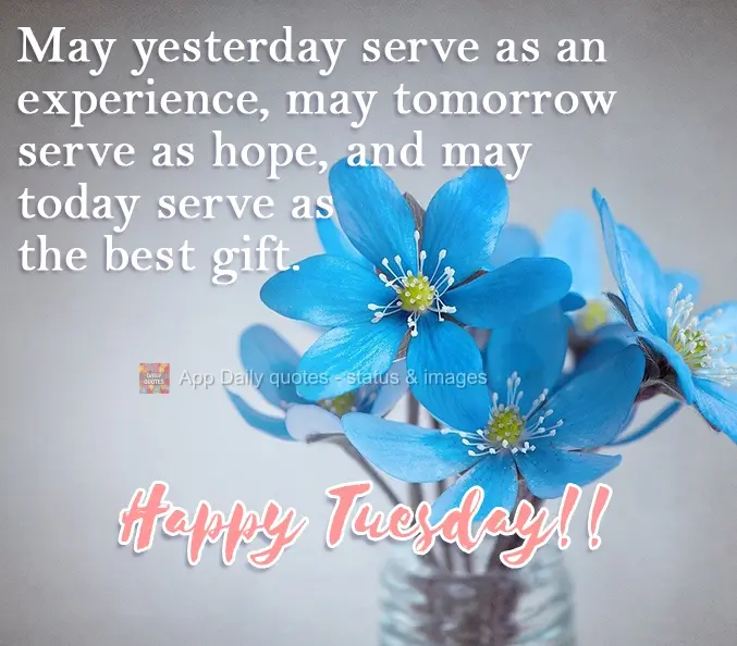 May yesterday serve as experience, tomorrow as hope, and today as the best gift. Happy Tuesday!