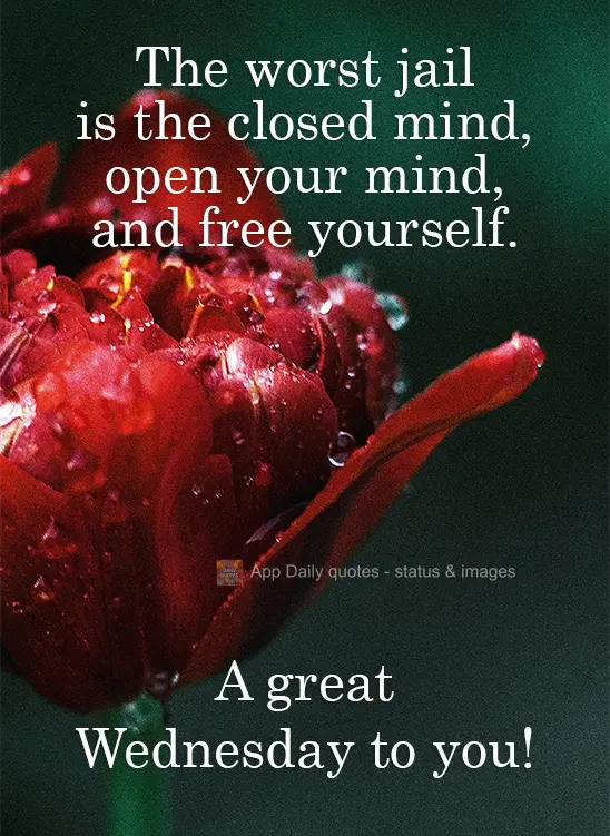 A pior prisão é a mente fechada. Abra a sua mente e liberte-se. Ótima  Quarta-feira para você!