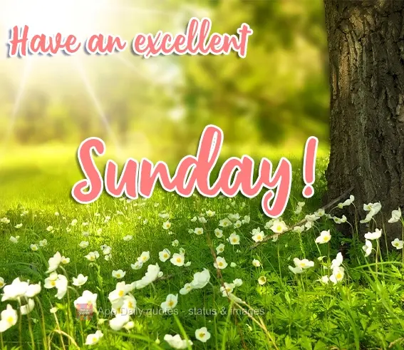 Have an excellent Sunday!