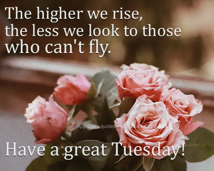 Quanto mais nos elevamos, menores parecemos aos olhos daqueles que não sabem voar. Tenha um ótima Terça-feira!