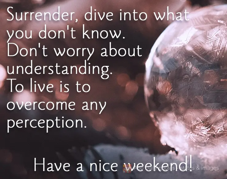 Renda-se, mergulhe no que você não conhece. Não se preocupe em entender. Viver é ultrapassar qualquer entendimento. Bom Final de semana!