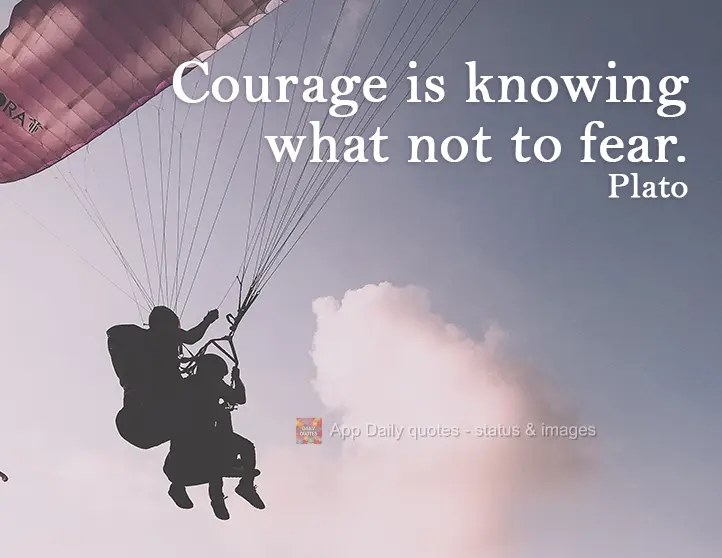 Courage is knowing what not to fear. Plato