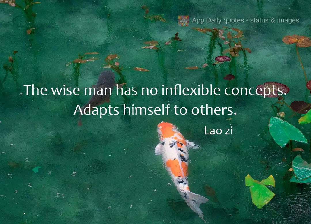 O sábio não tem conceitos inflexíveis. Adapta-se aos dos outros.  Lao zi