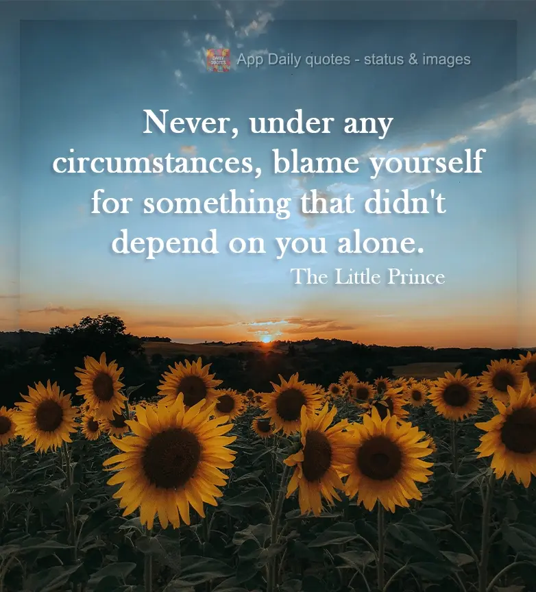 Nunca, em hipótese alguma, se culpe por aquilo que não dependia só de você. Pequeno príncipe