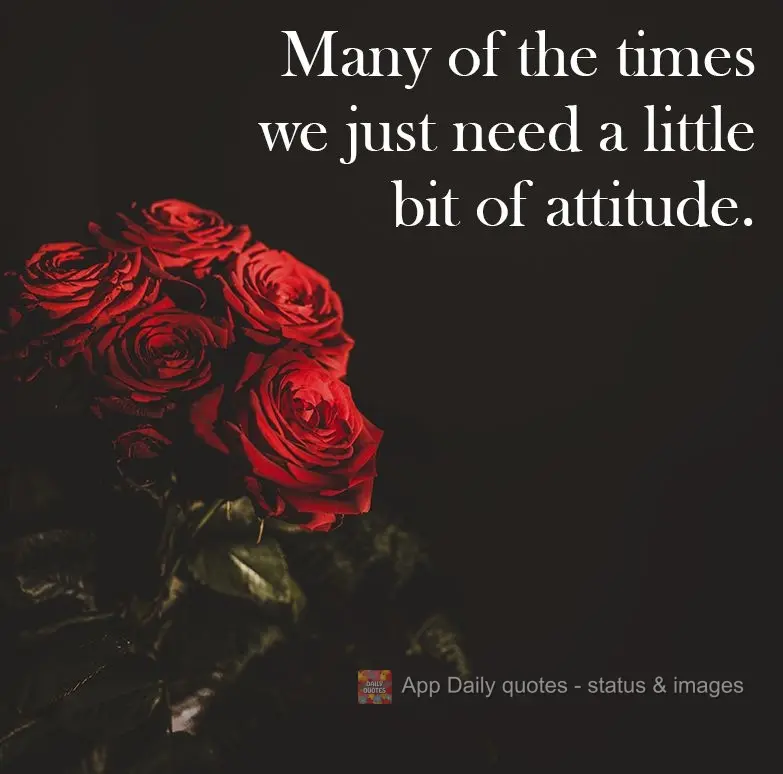 Many times we just need a little bit of attitude.