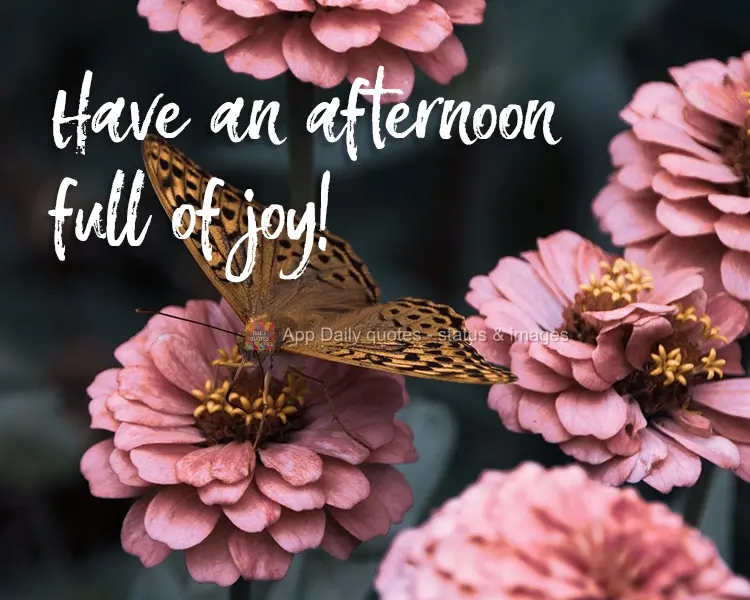 Tenha uma tarde de muitas alegrias.