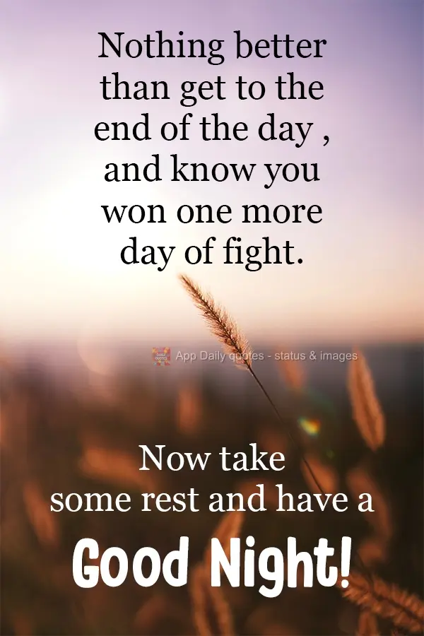 Nada melhor que chegar no final do dia e saber que você venceu mais um dia de luta. Agora descanse e tenha uma Boa Noite!