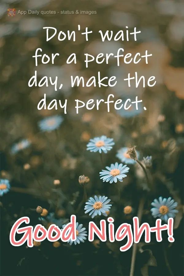Don't wait for a perfect day, make the day perfect. Good Night!
