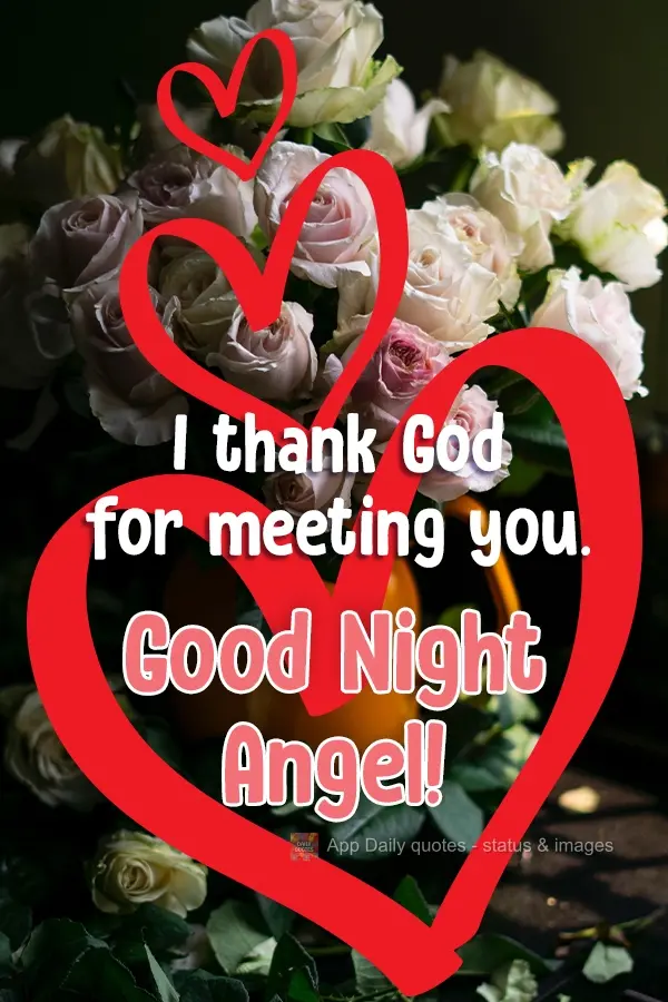 Agradeço a Deus por ter conhecido você.  Boa Noite Anjo!