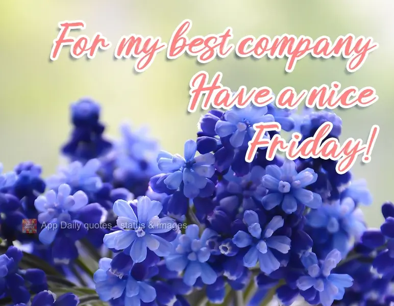 Para minha melhor companhia Tenha uma boa Sexta-feira!