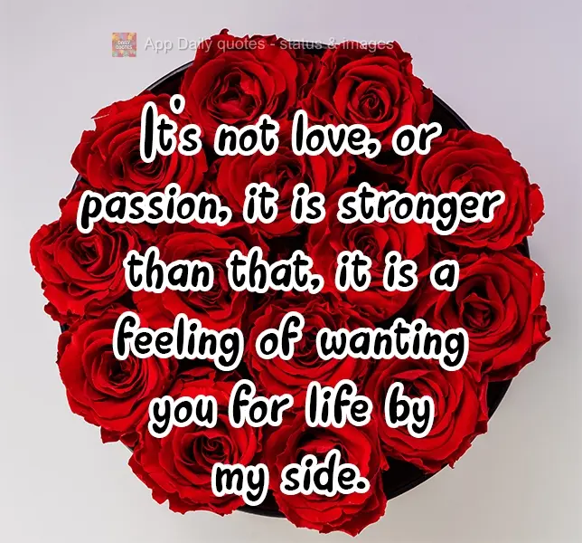 Não é amor, nem paixão, é mais forte que isso, é um sentimento de te querer para a vida toda ao meu lado.