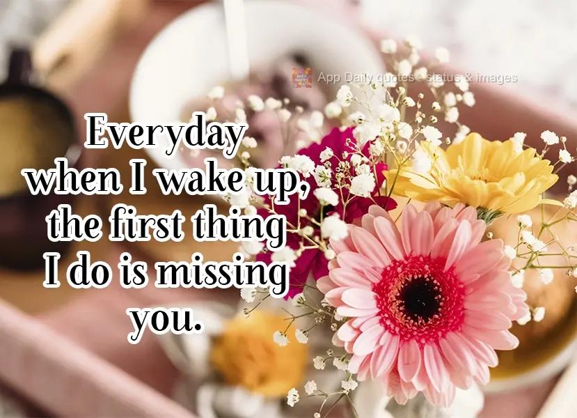 Todos os dias quando acordo, a primeira coisa que faço é sentir sua falta.
