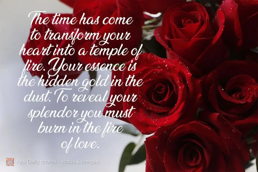 Chegou a hora de transformar o seu coração em um templo de fogo. Sua essência é o ouro escondido na poeira. para revelar seu esplendor você precisa ...