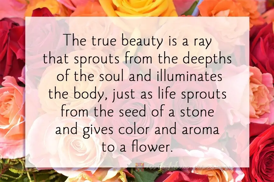 True beauty is a ray that sprouts from the depths of the soul and illuminates the body, just as life sprouts from the seed of a stone and gives color and...