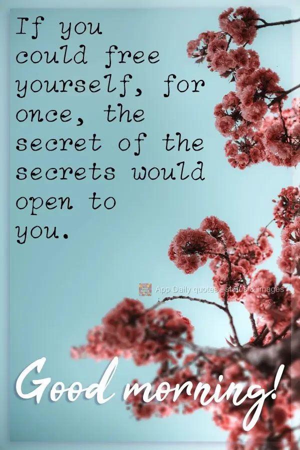 Se pudesse libertar-se, por uma vez, a ti mesmo, o segredo dos segredos se abriria para ti.  Bom dia! 