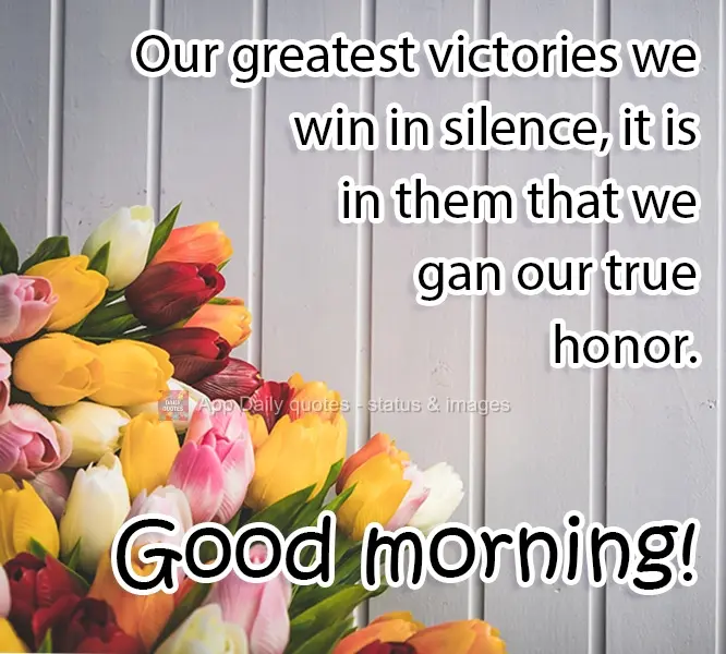 Nossas maiores vitórias vencemos em silêncio, é nelas que ganhamos nossa verdadeira honra.  Bom Dia!
