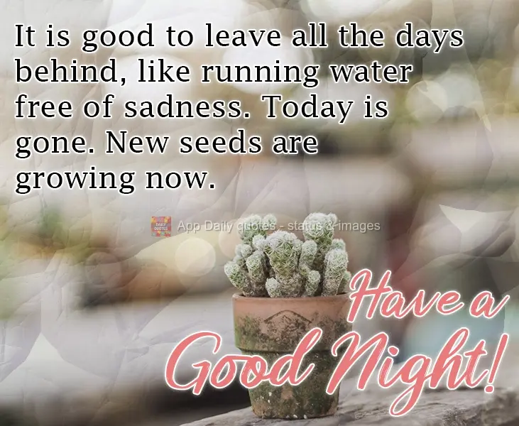 It is good to leave all the days behind, like running water free of sadness. Today is gone. New seeds are growing now. Have a Good Night!