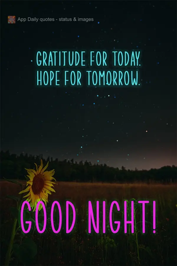 Gratidão pelo dia de hoje. Esperança para o dia de amanhã. Boa Noite!