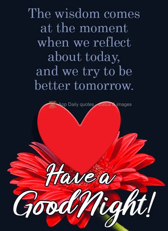 Wisdom comes when we are reflecting on today and trying to be better tomorrow. Have a Good Night!