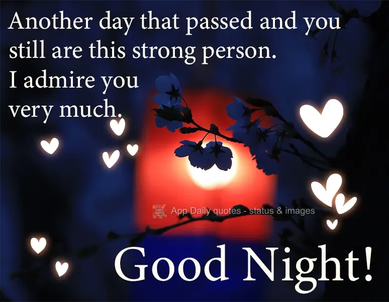 Yet another day has passed, and you are still this strong person. I admire you very much. Good Night!