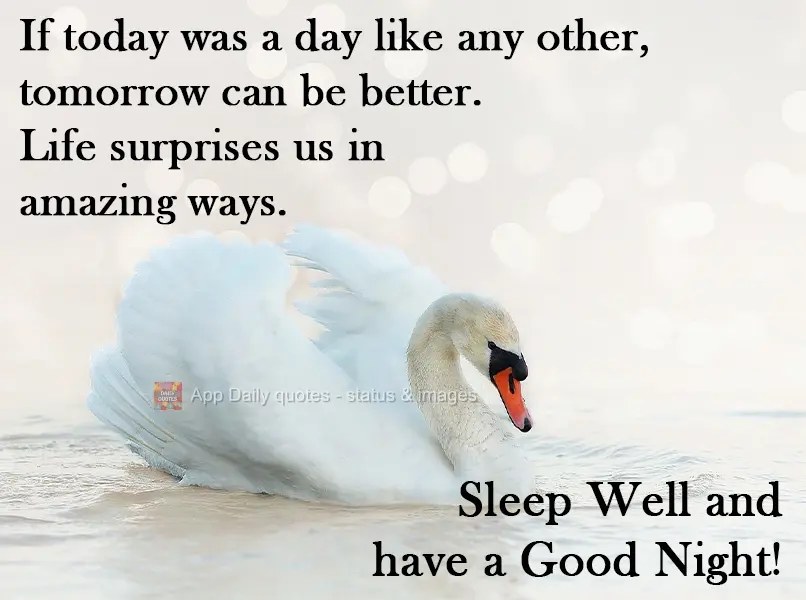 Se hoje o dia foi como qualquer outro, amanhã poderá ser melhor. A vida nos surpreende de maneiras incríveis.  Durma Bem e tenha uma Boa Noite!