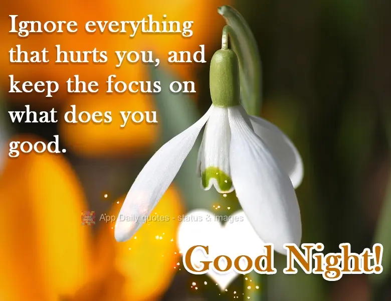 Ignore everything that hurts you, and keep your focus on what does you good. Good Night!