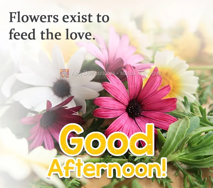 Flowers exist to feed the love. Good Afternoon!