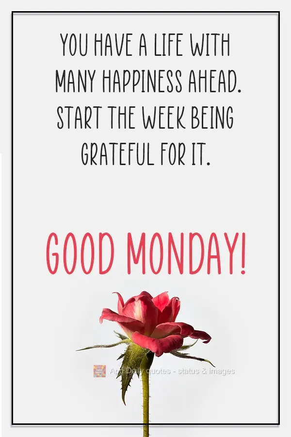 Você tem uma vida de muitas alegrias pela frente. Comece a semana sendo grato por ela.  Boa Segunda-feira!