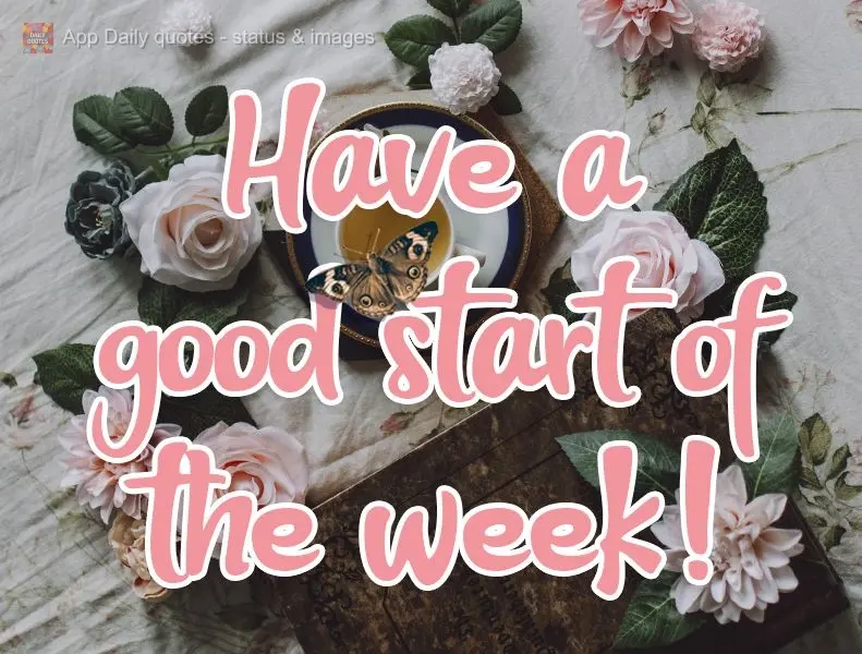 Bom começo de semana!