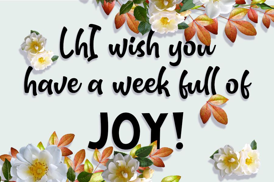 Te desejo uma SEMANA cheia de alegria!