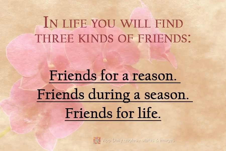 You will find three kinds of friends in life: Friends for a reason. Friends for a season. Friends for life.