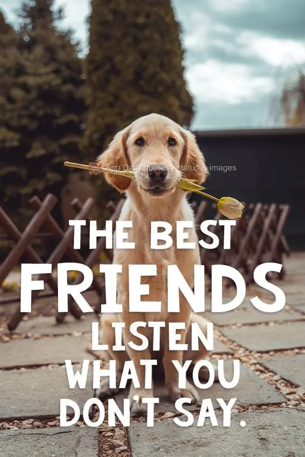 The best friends hear what you don't say.