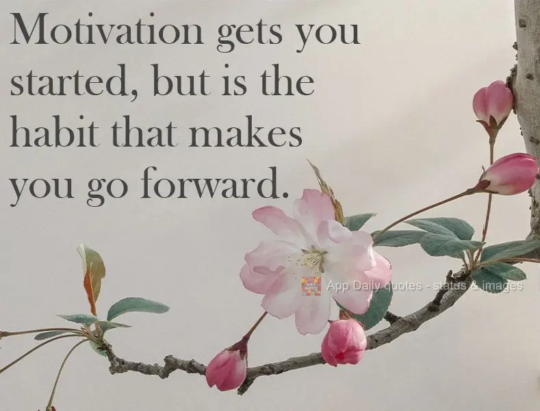 A motivação te faz começar, mas é o hábito que te faz continuar.