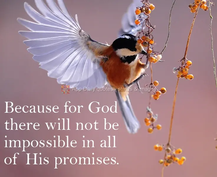 Por que para Deus não haverá impossível em todas as suas promessas.