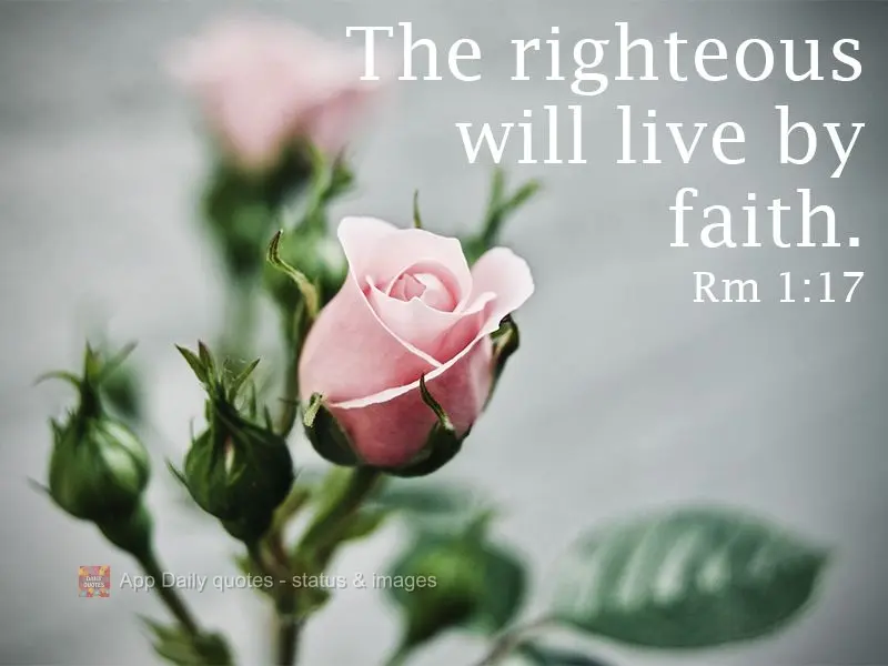 The righteous will live by faith. Rm 1:17