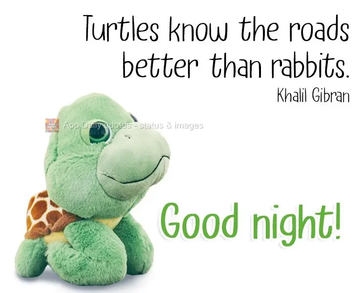 Turtles know the roads better than rabbits. Khalil Gibran