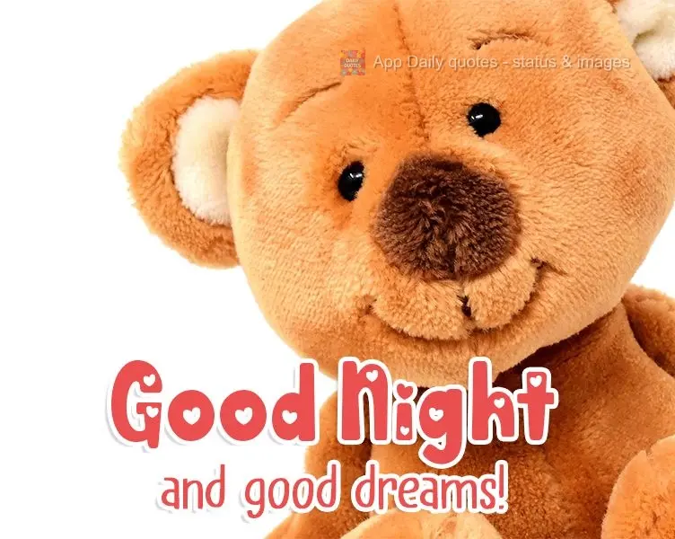Good Night and Good Dreams!