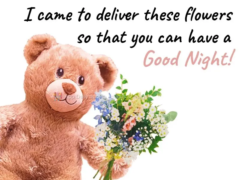 Vim entregar essas flores, para que você tenha uma Boa Noite!