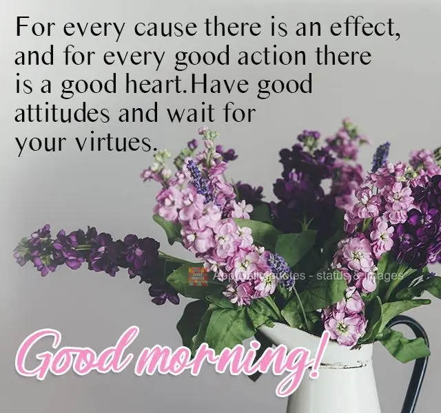 Para cada causa existe um efeito, e para cada boa ação existe um bom coração. Tenha boas atitudes e espere pelas suas virtudes.  Bom dia!