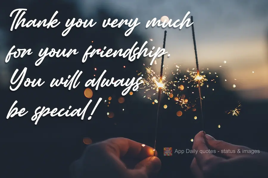 Thank you very much for your friendship. You will always be special!