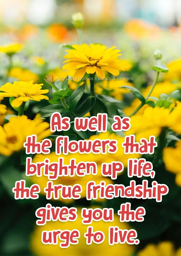 Like the flowers that brighten up life, true friendship gives you the urge to live.
